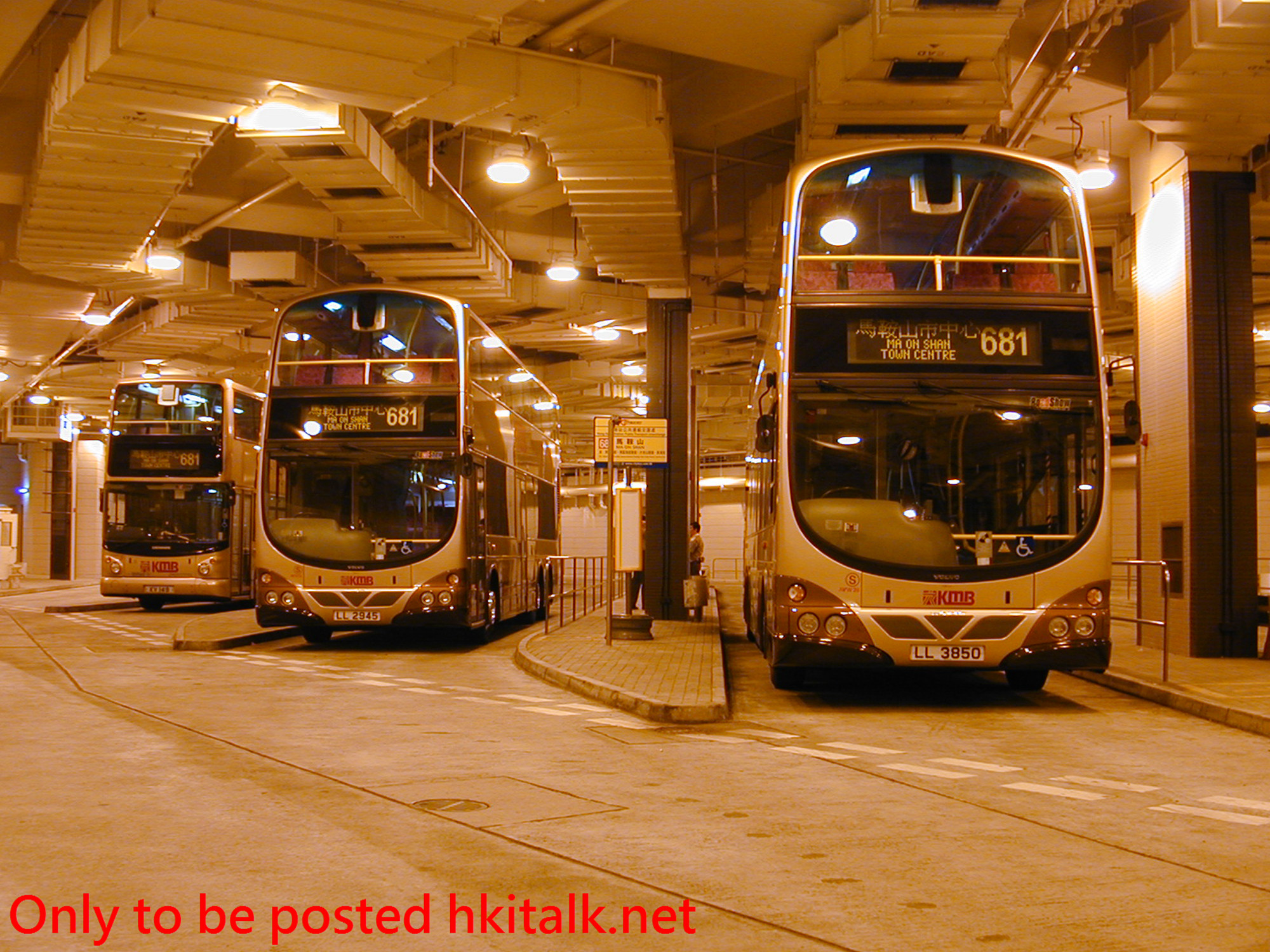AVW28-35066-681.jpg
