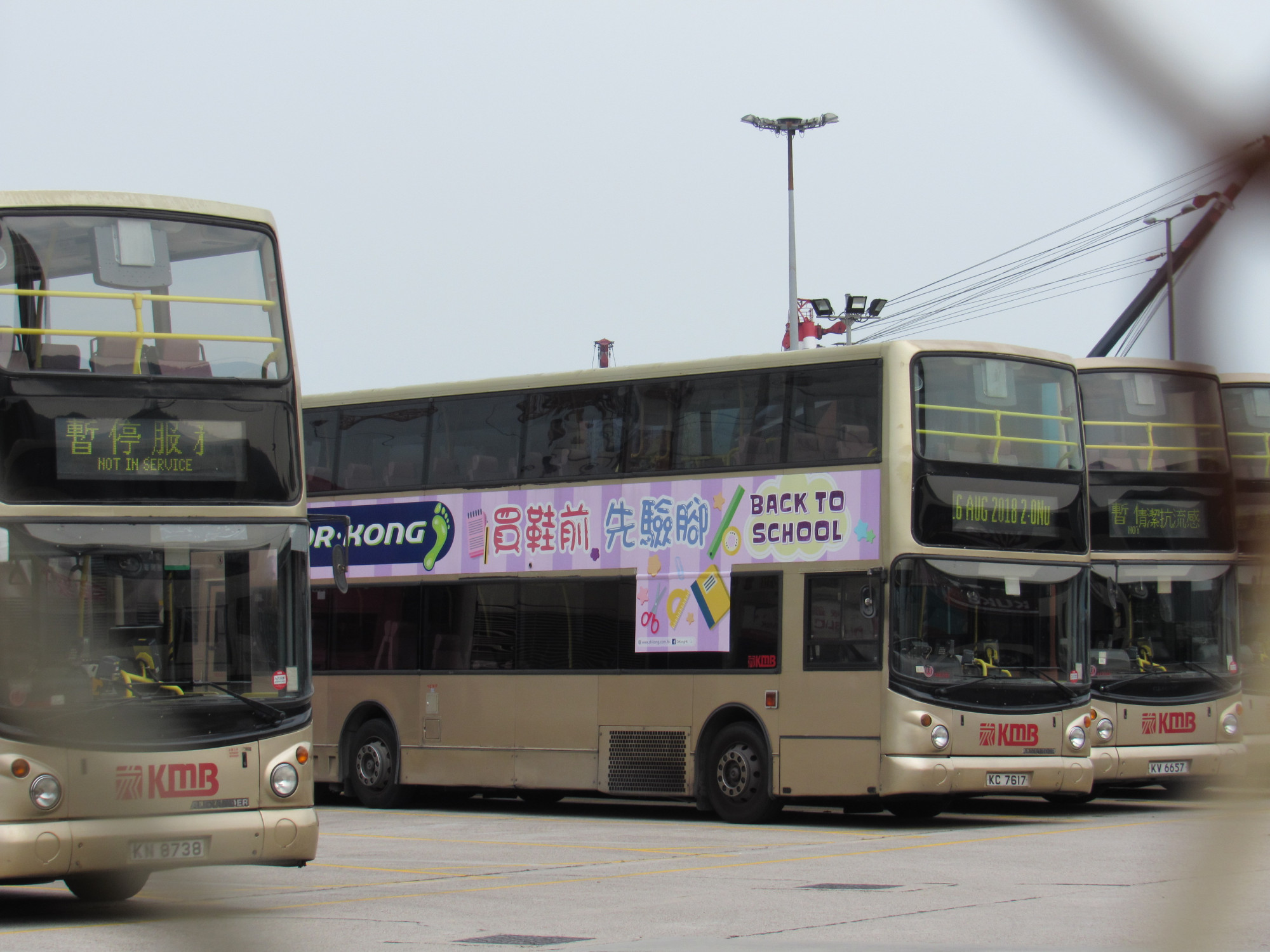 IMG_5562.JPG