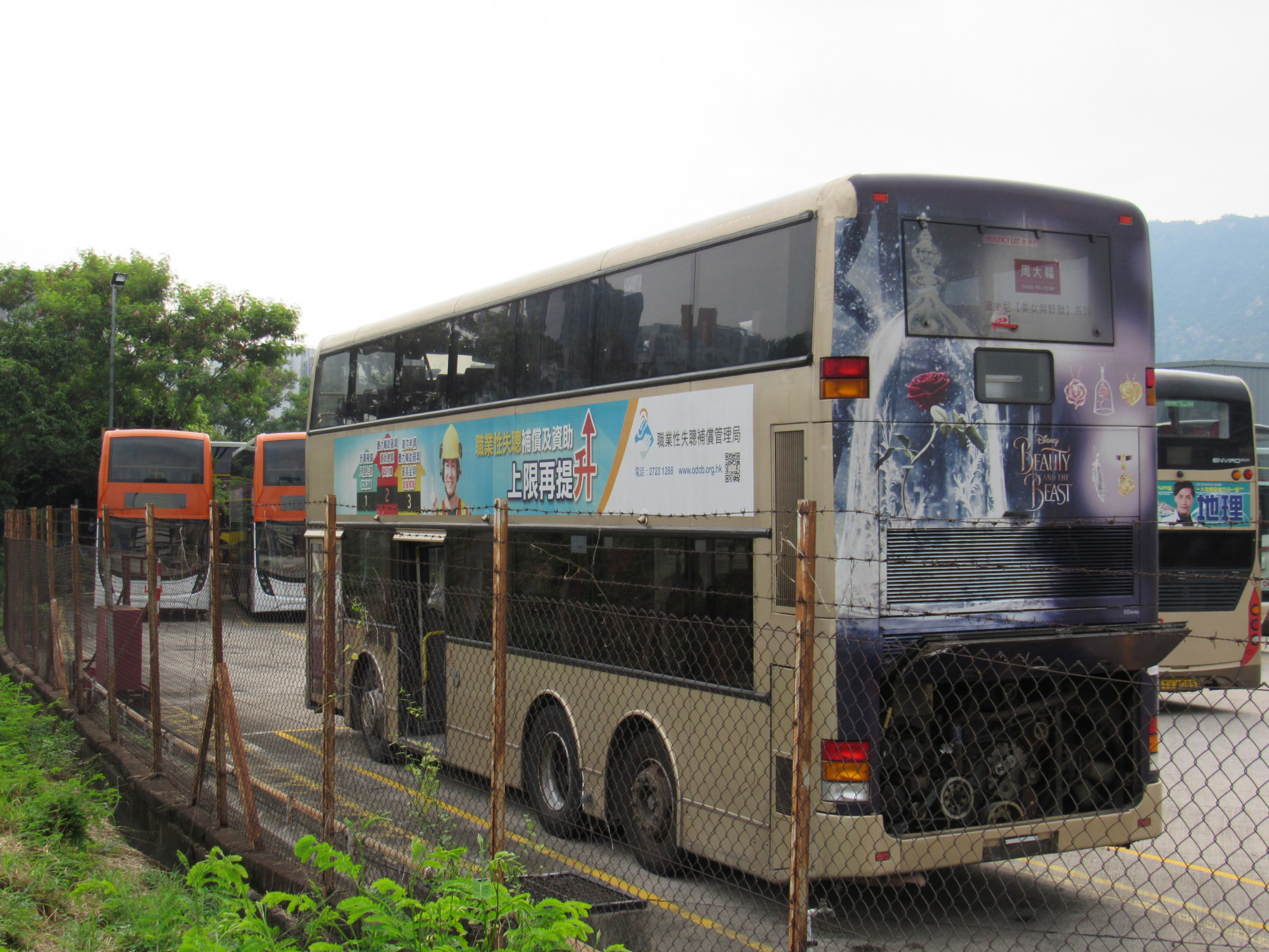 IMG_5547.JPG