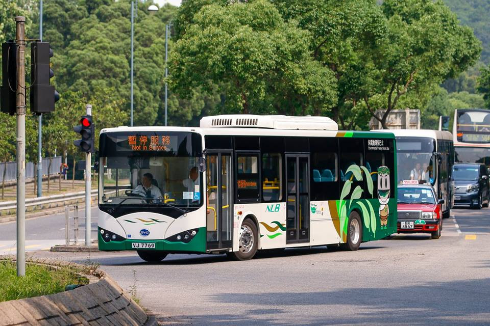 382.jpg