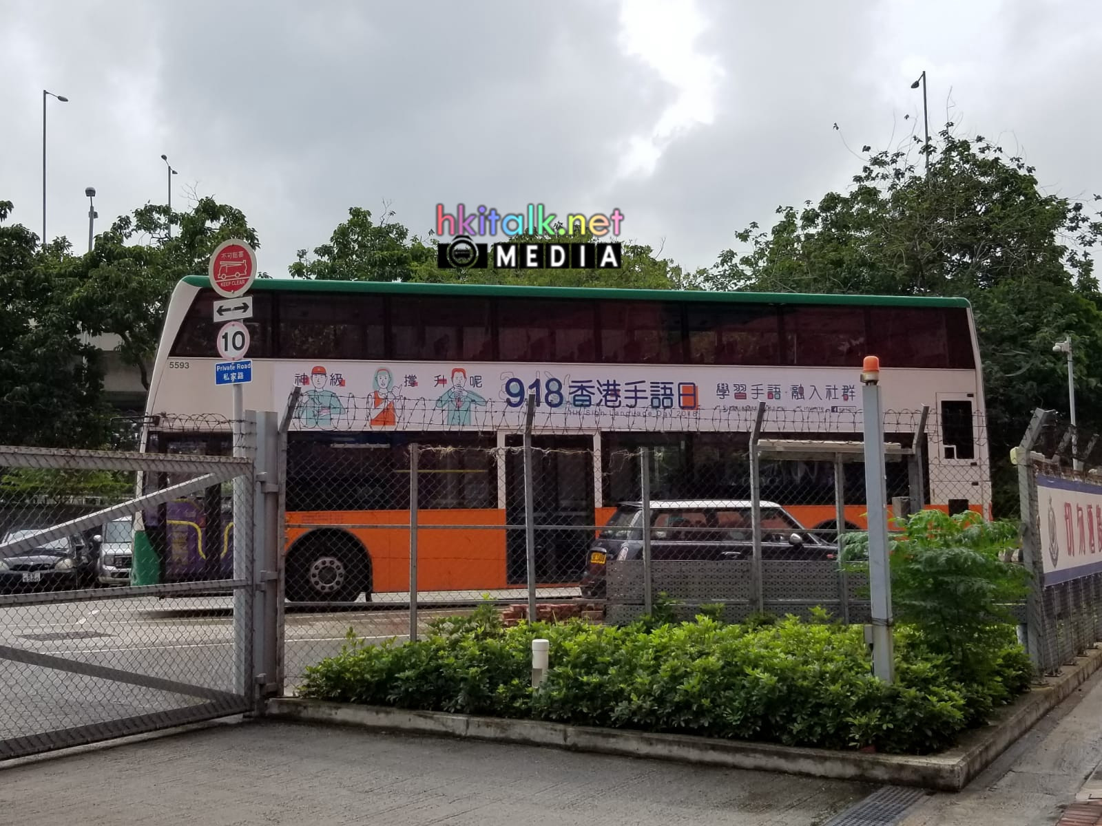 5593 (3).jpeg