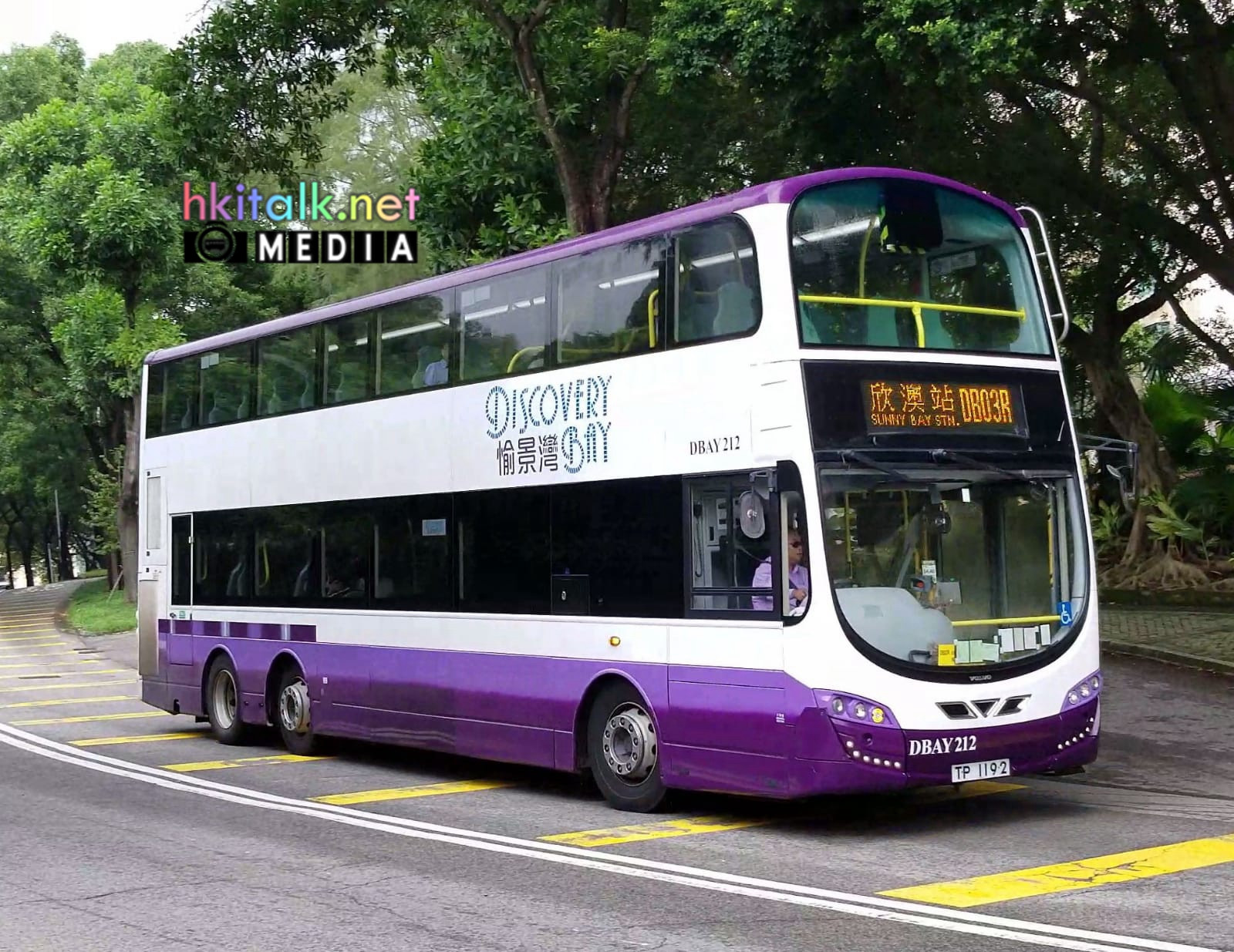 95 (11).jpeg
