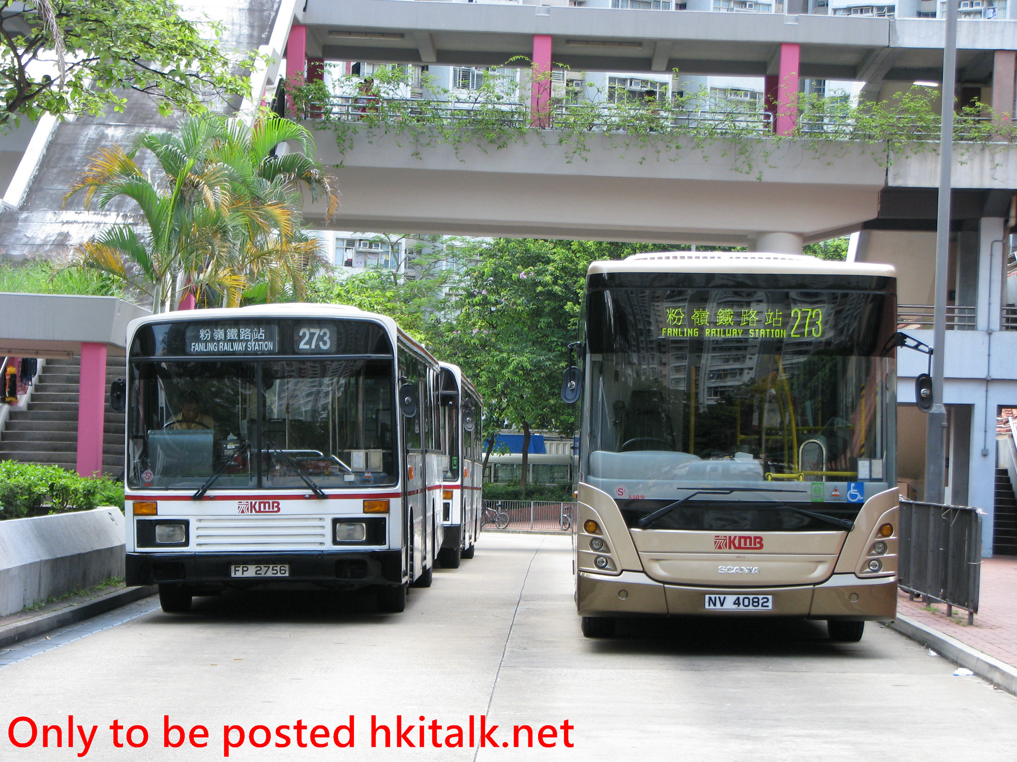 AN03_ASB08-J3333-273.JPG