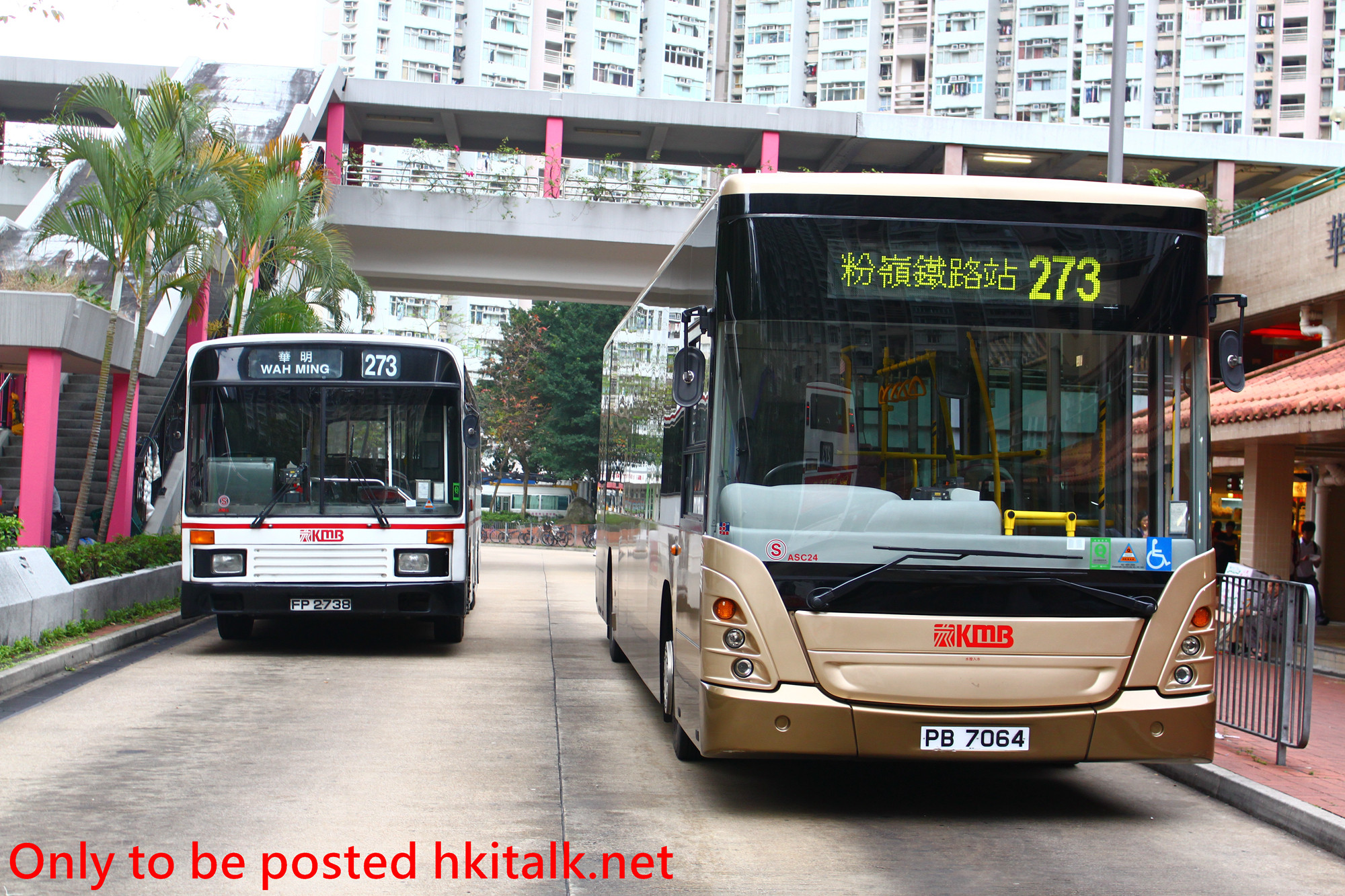AN06_ASC24-P8380-273.JPG