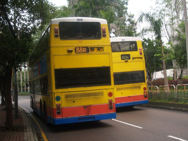 c_608_1_1.jpg