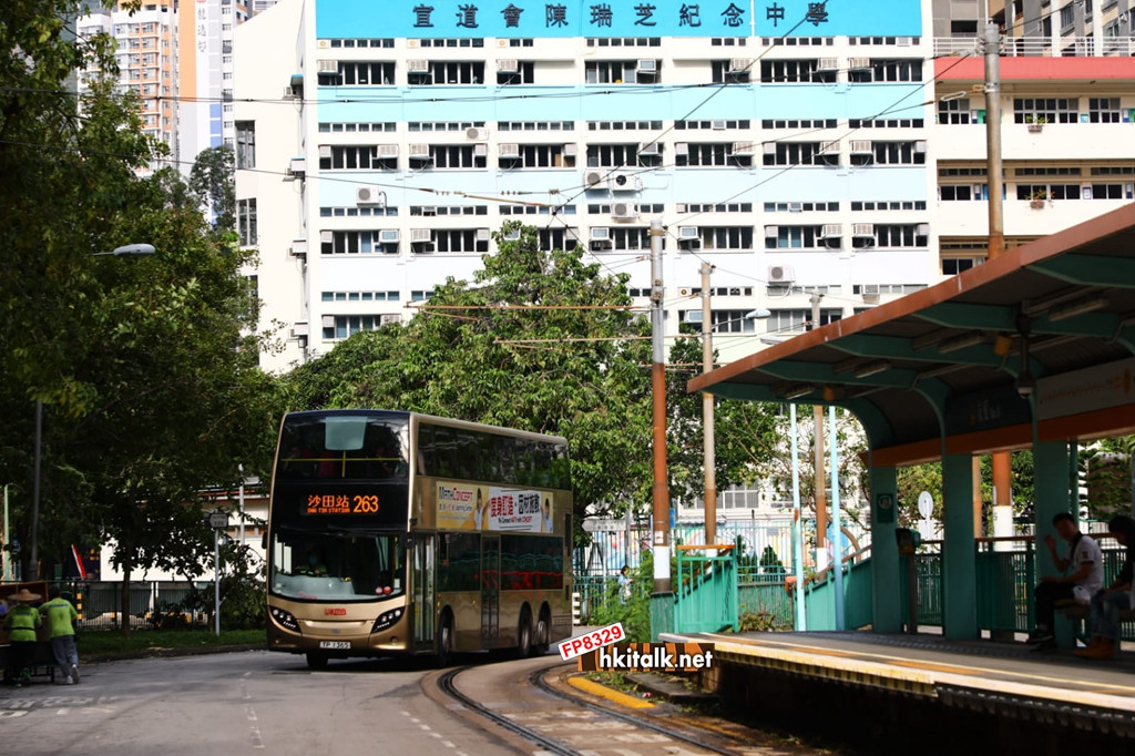友愛路 (11).jpeg