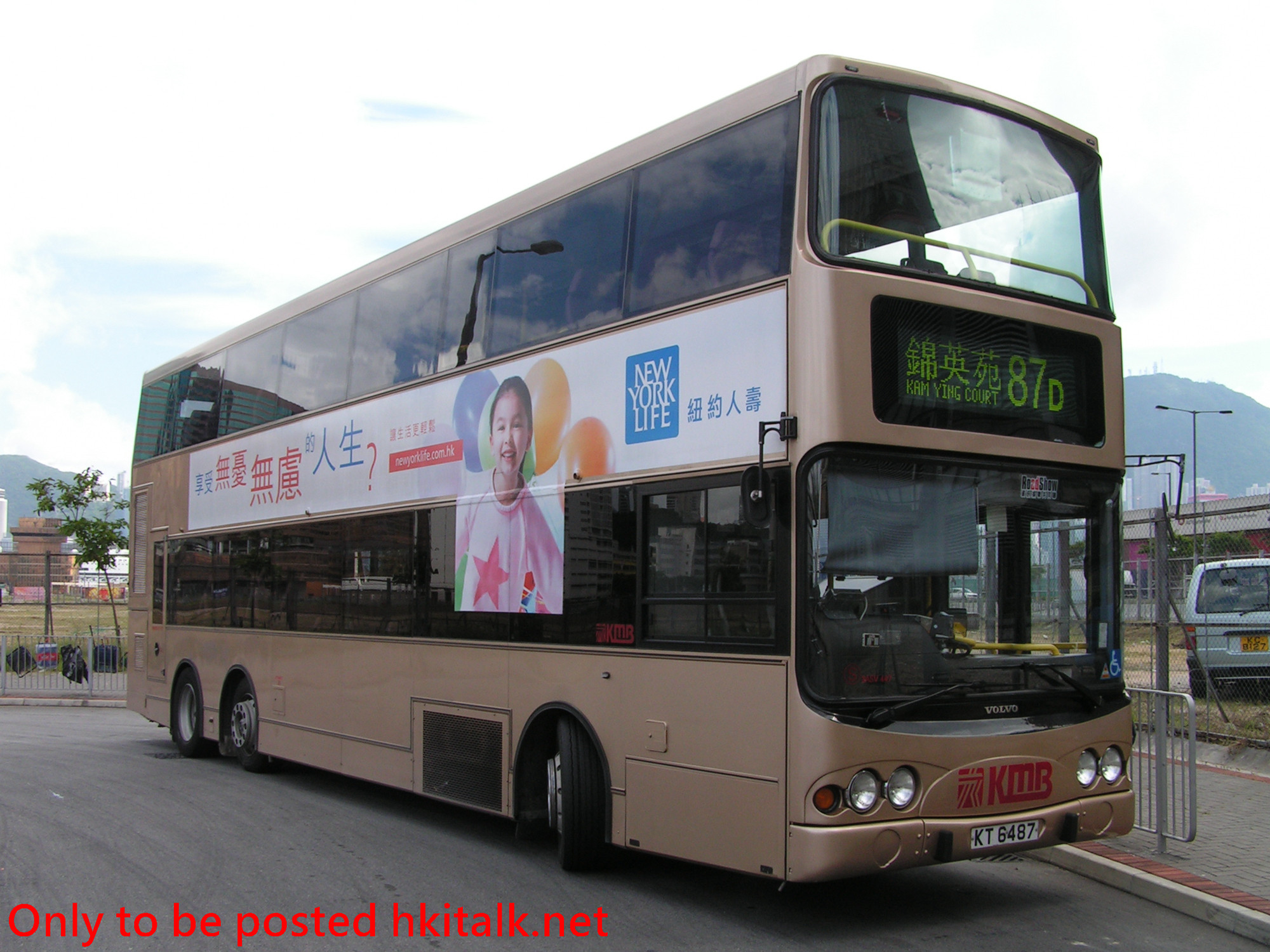3ASV447-B3626-87D.JPG