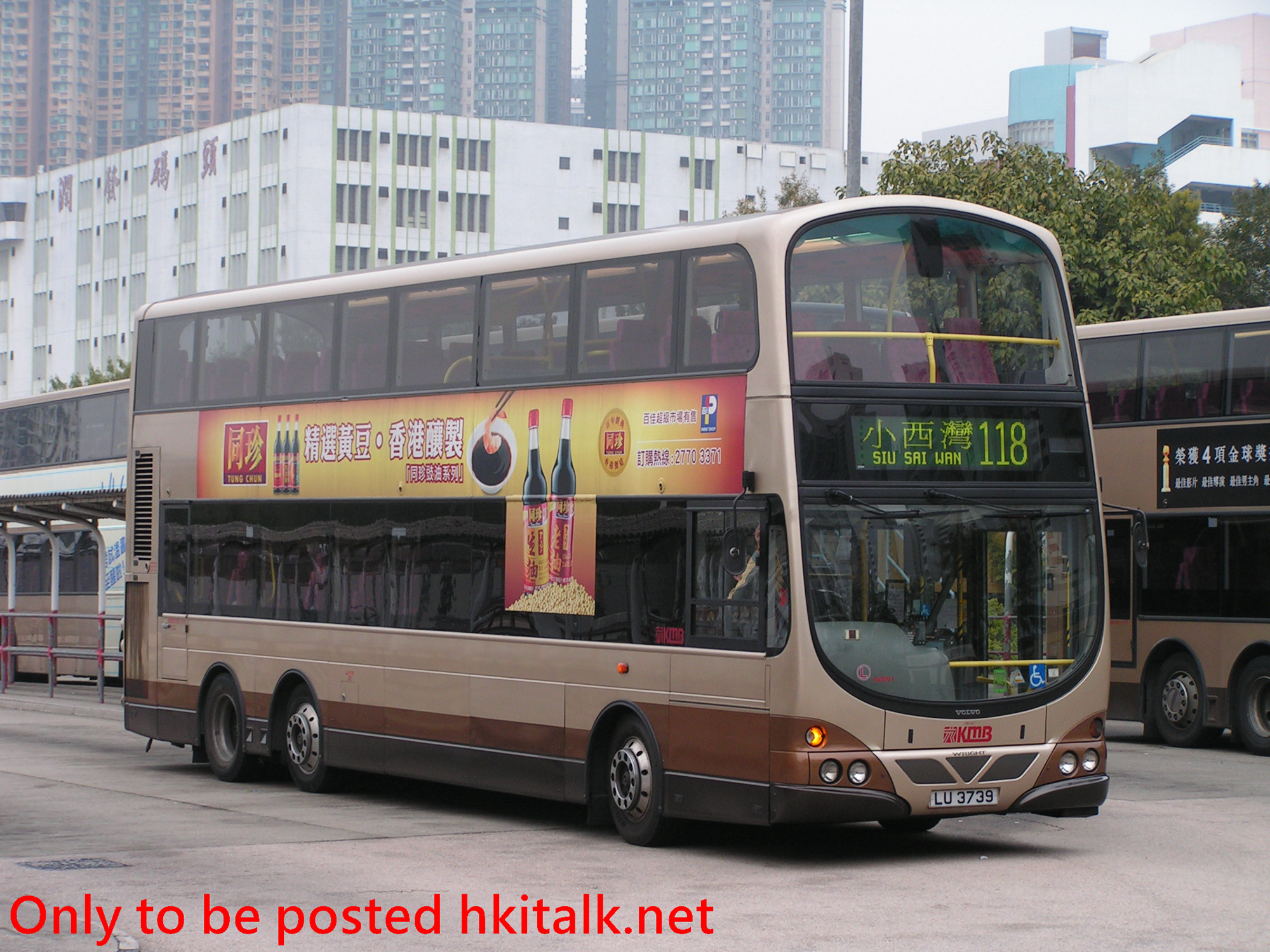 AVBW01-C2778-118.JPG