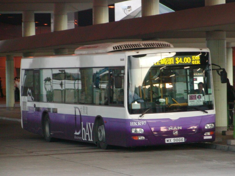 o_nl263_1.jpg