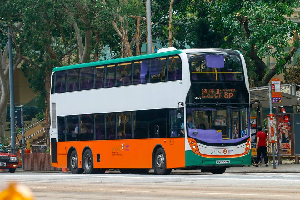 6202.jpg