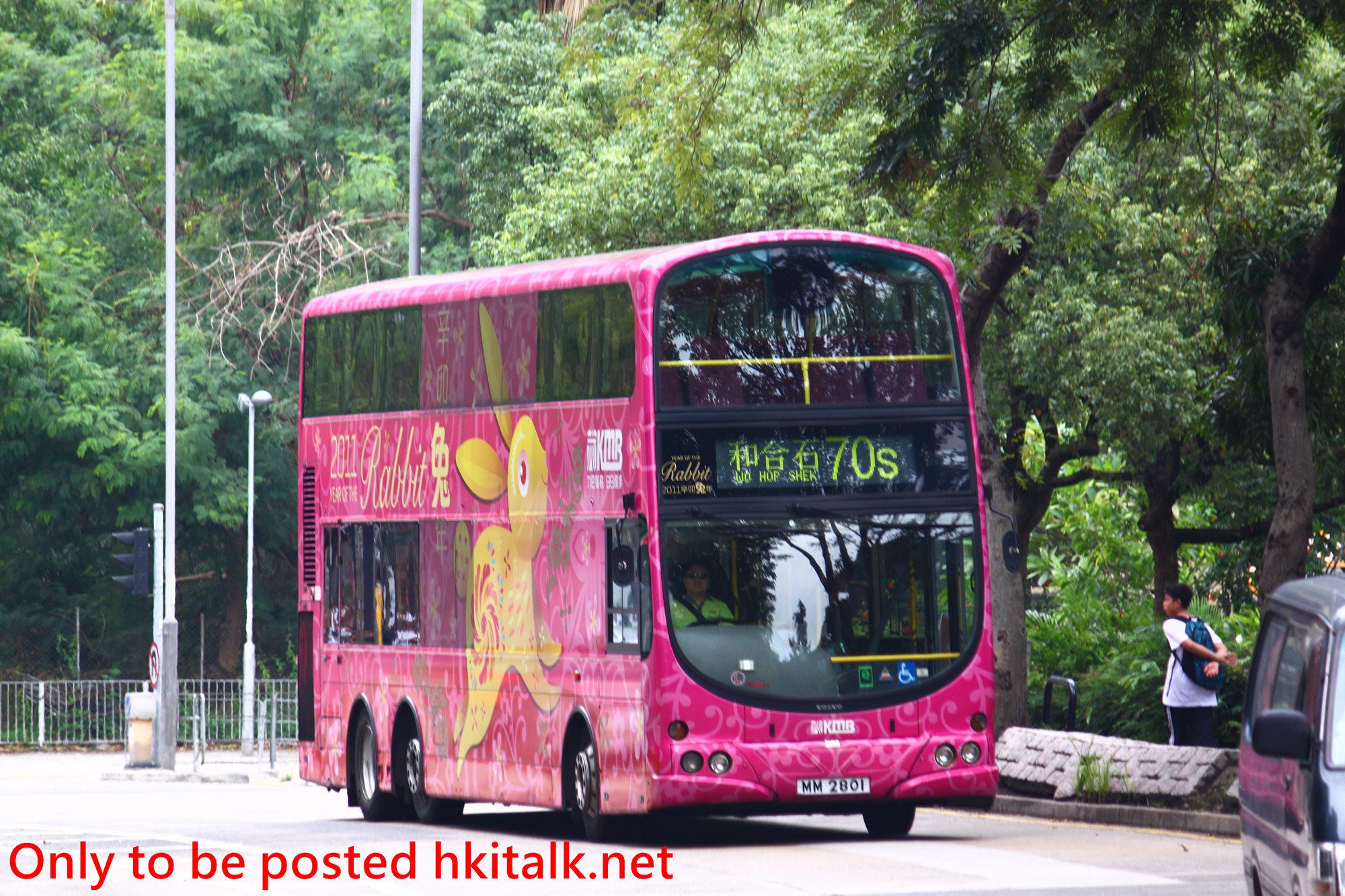 AVBW44-T1162-70S.JPG