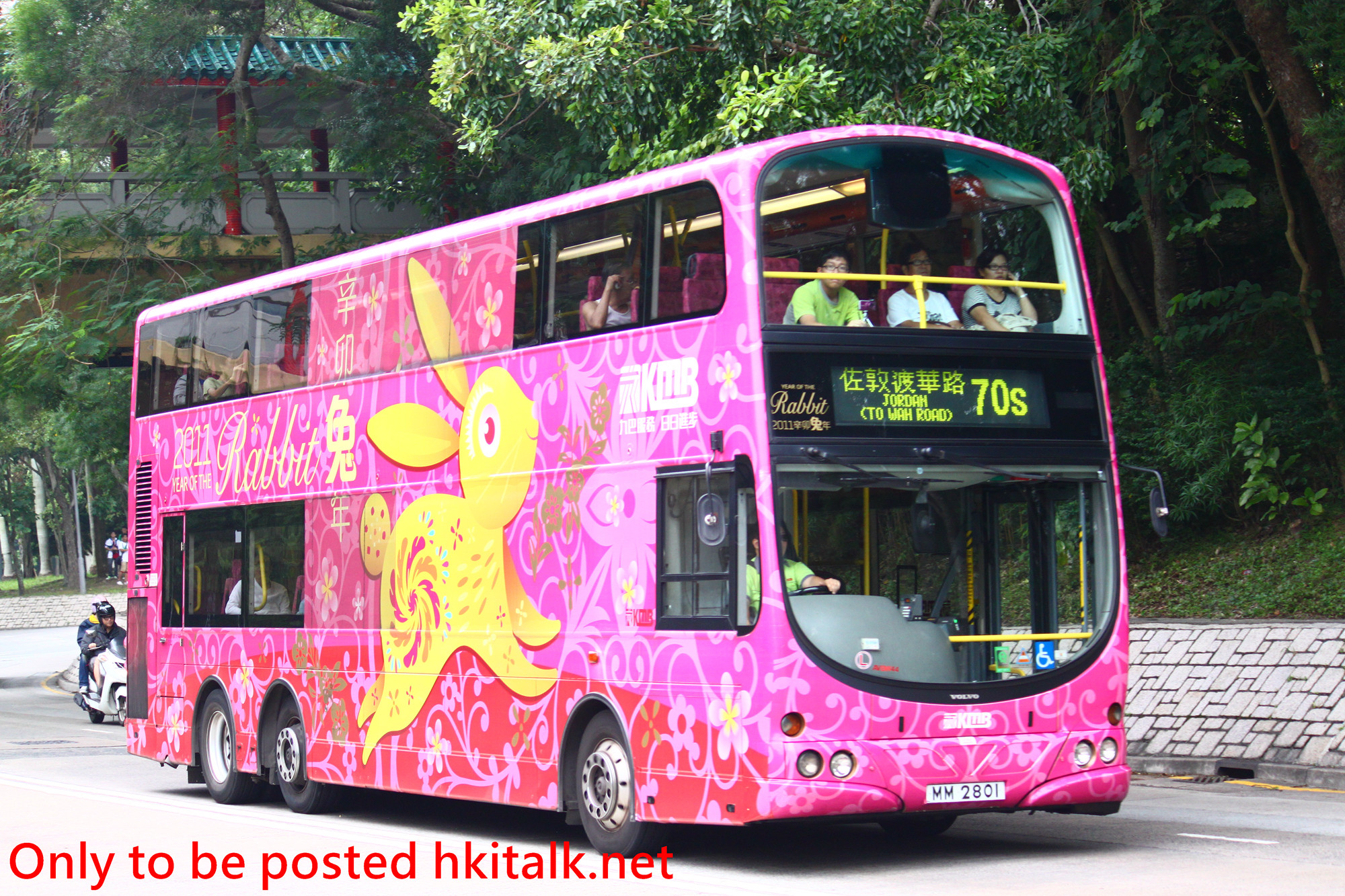 AVBW44-T1235-70S.JPG