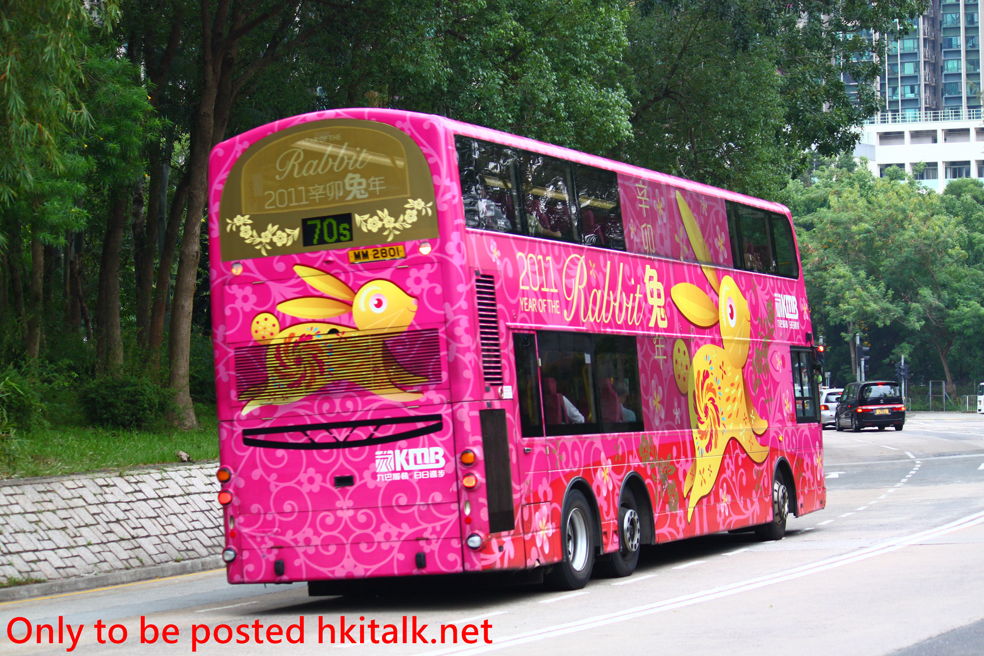 AVBW44-T1238-70S.JPG