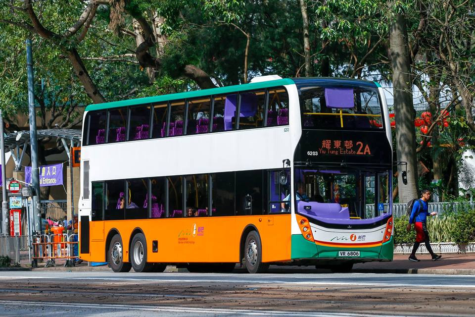 6203.jpg