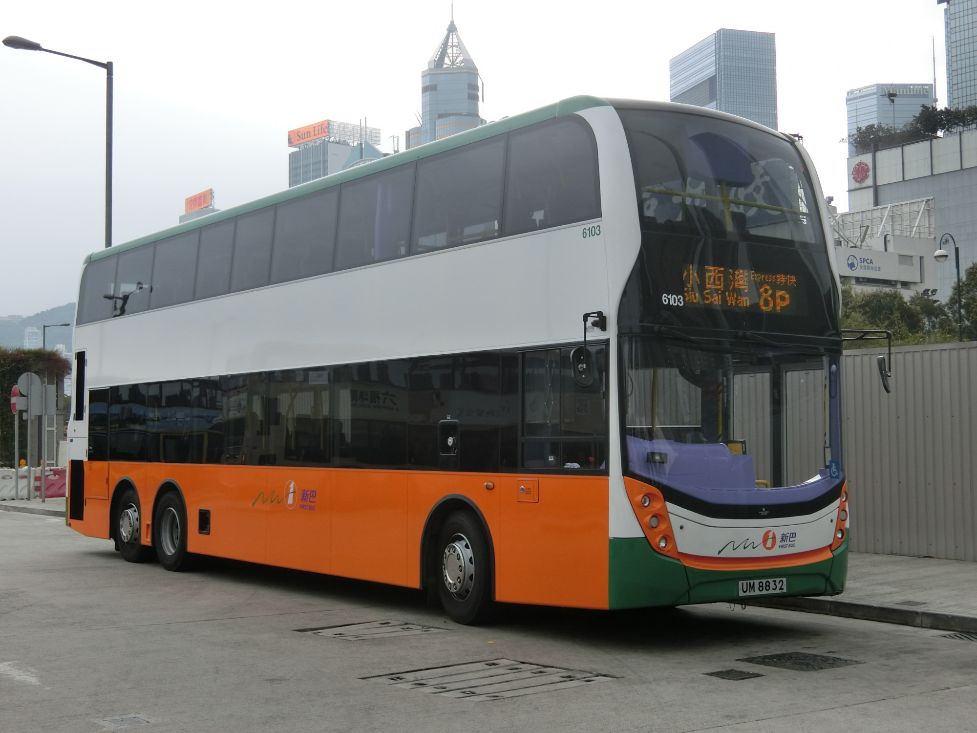 CIMG8974.JPG