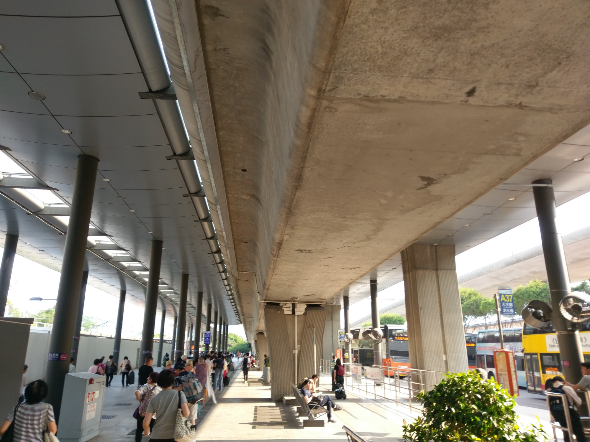 IMAG9932.jpg