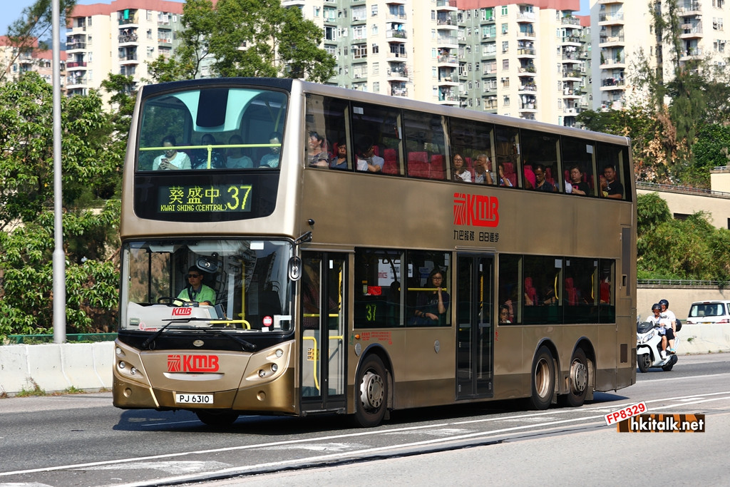 PJ6310.JPG
