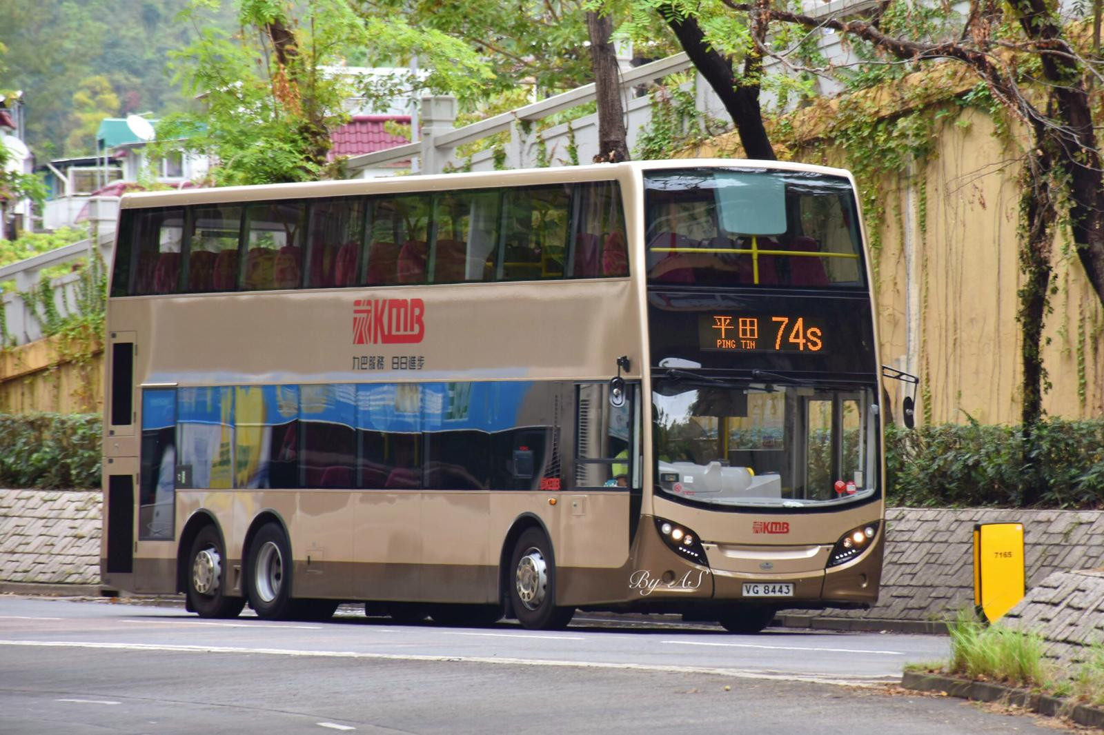 VG8443.jpg