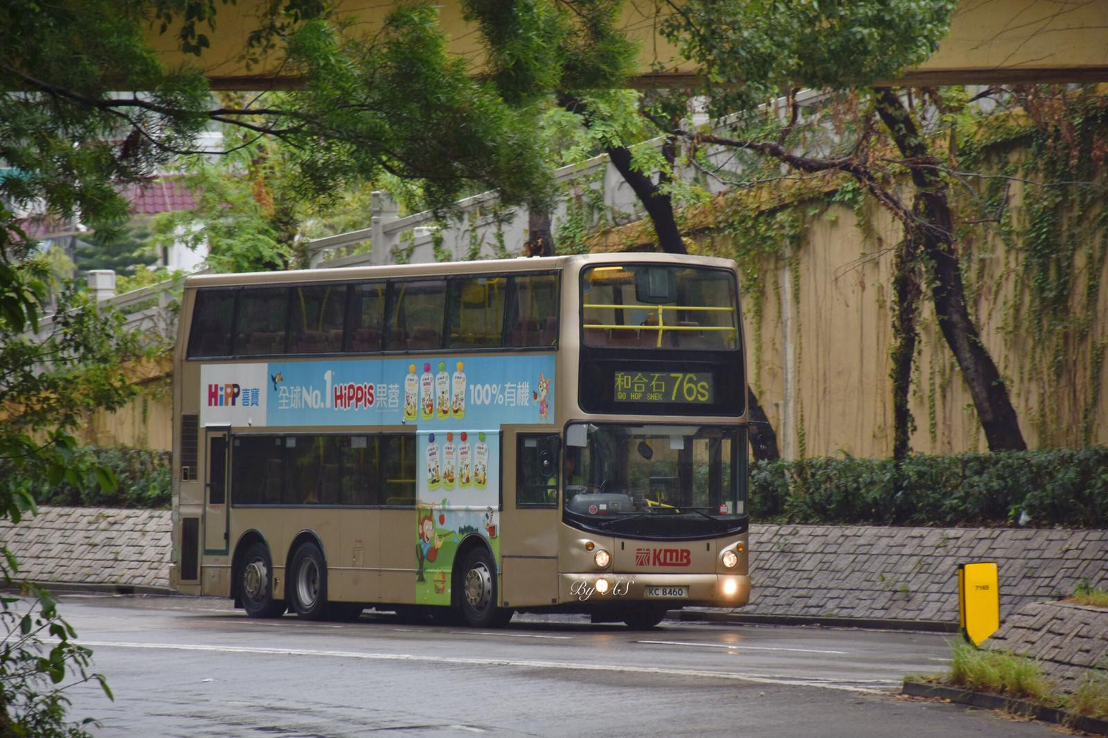 KC8460.jpg
