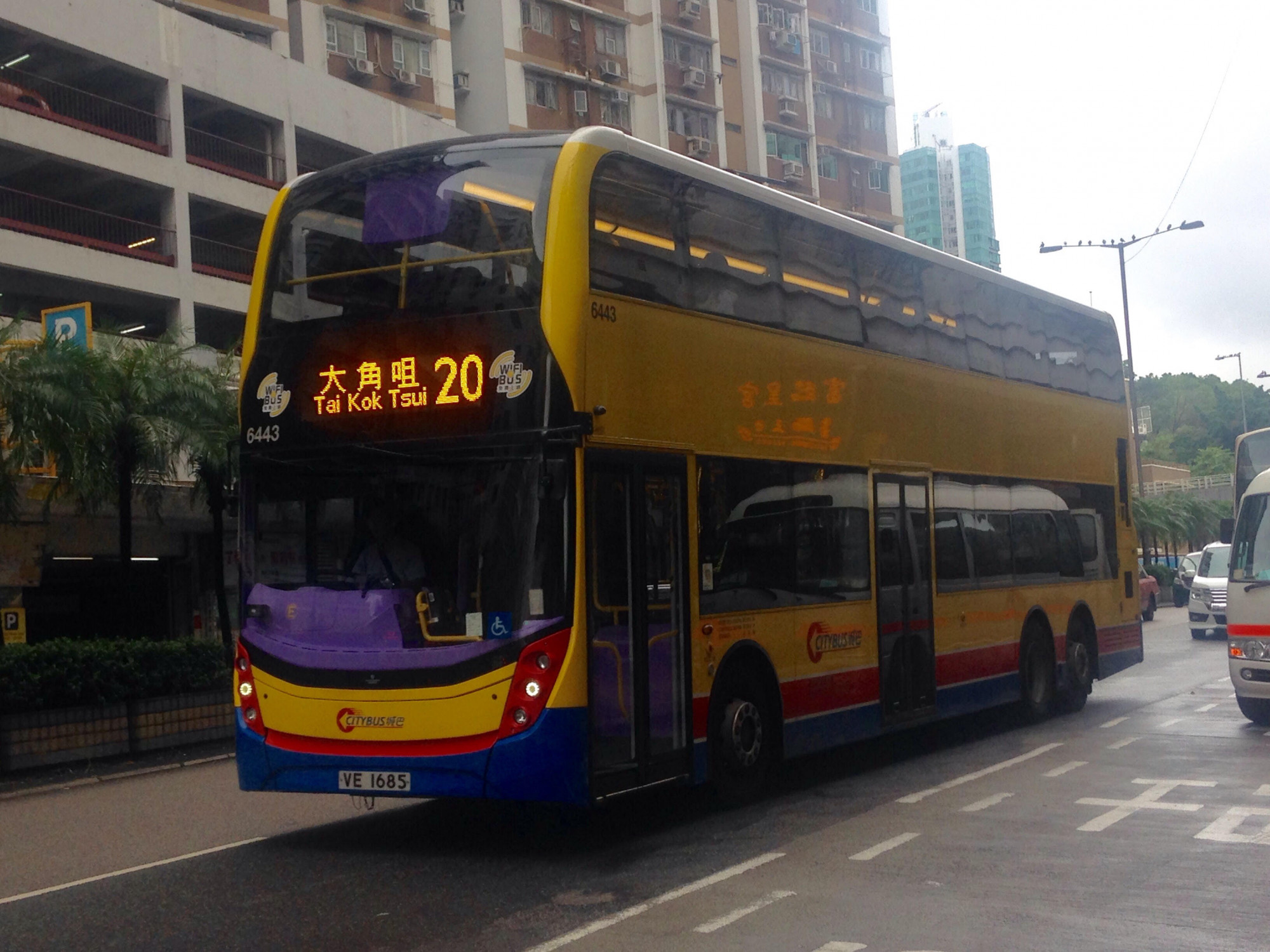6443.jpg