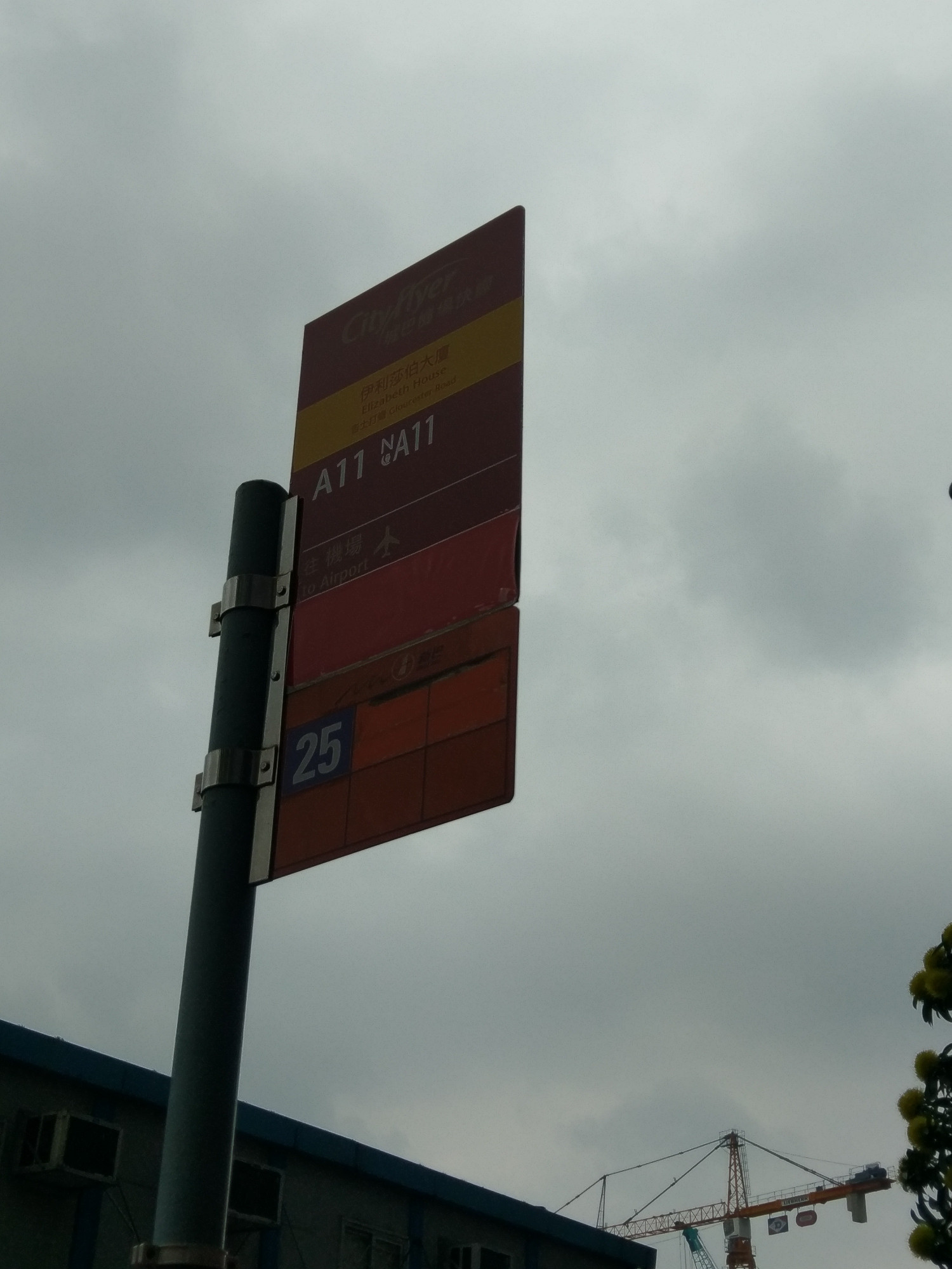 IMAG0155.jpg