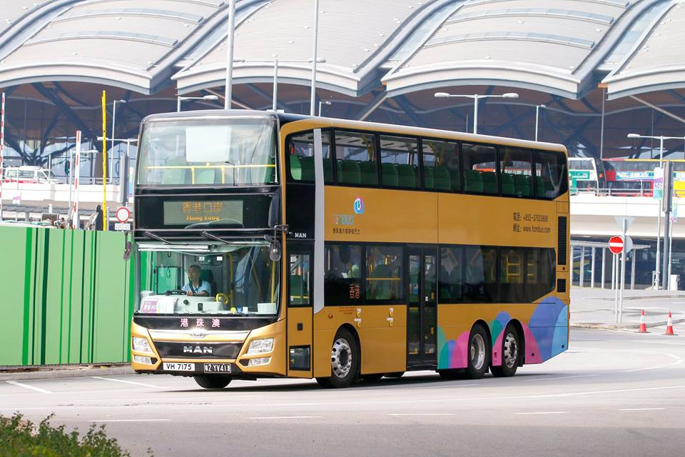 VH7175.jpg