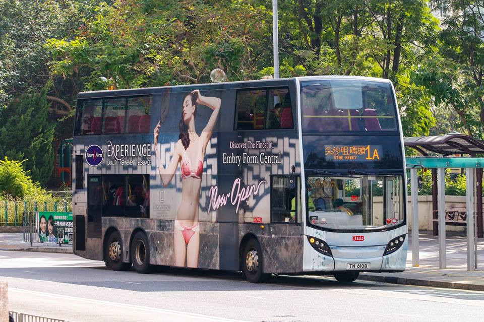 TN6108.jpg