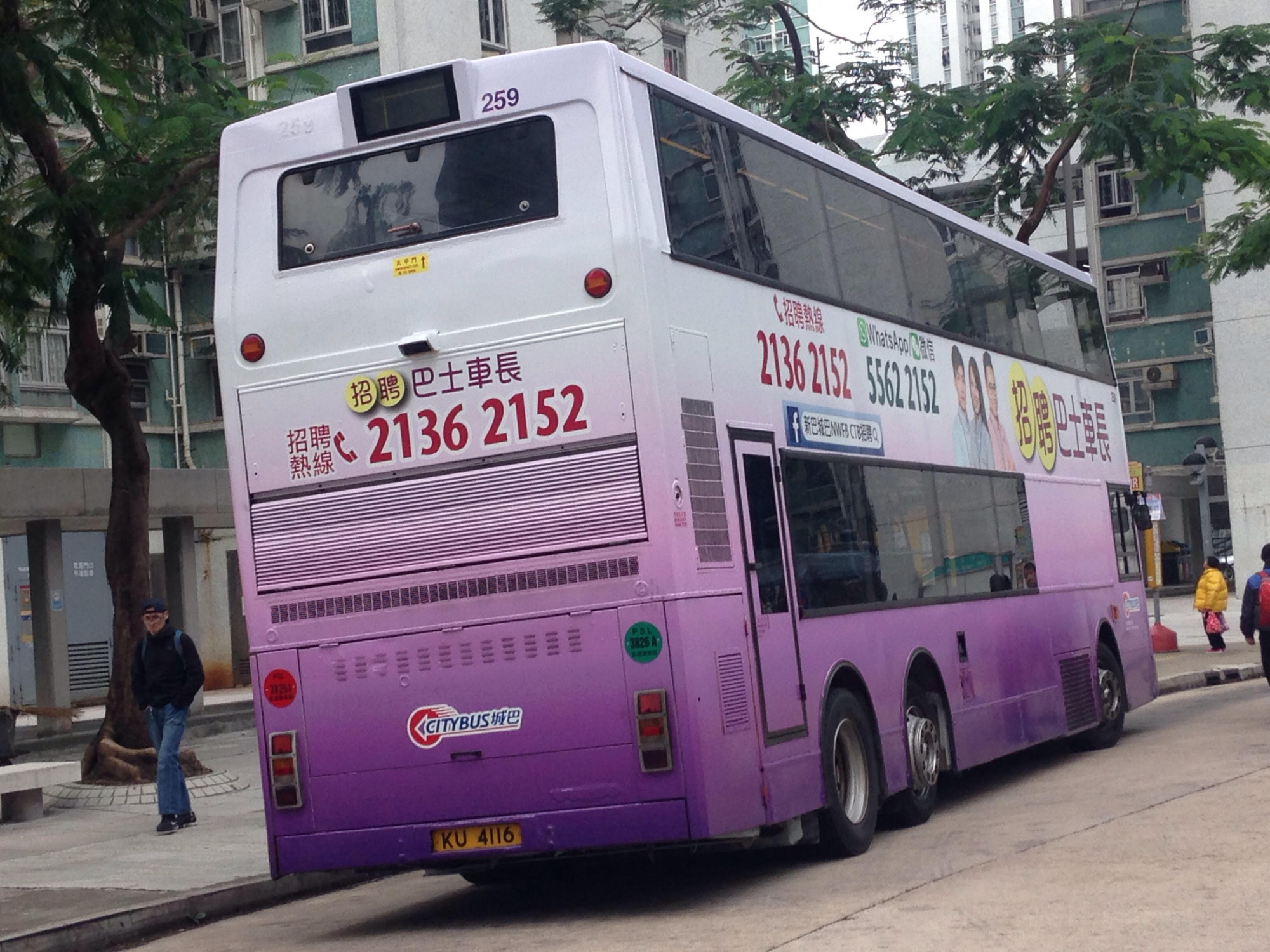 259r1.jpg