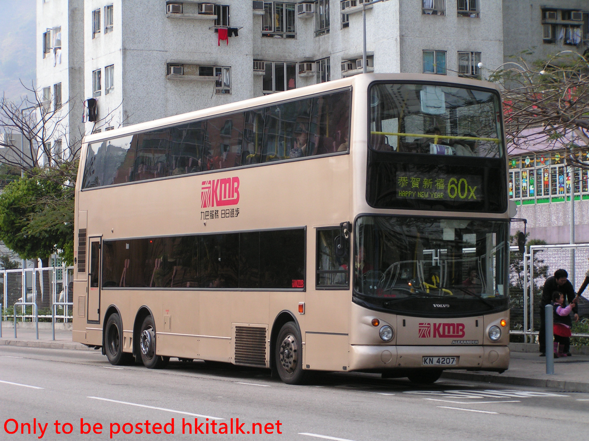 3ASV353-A7943-60X.JPG