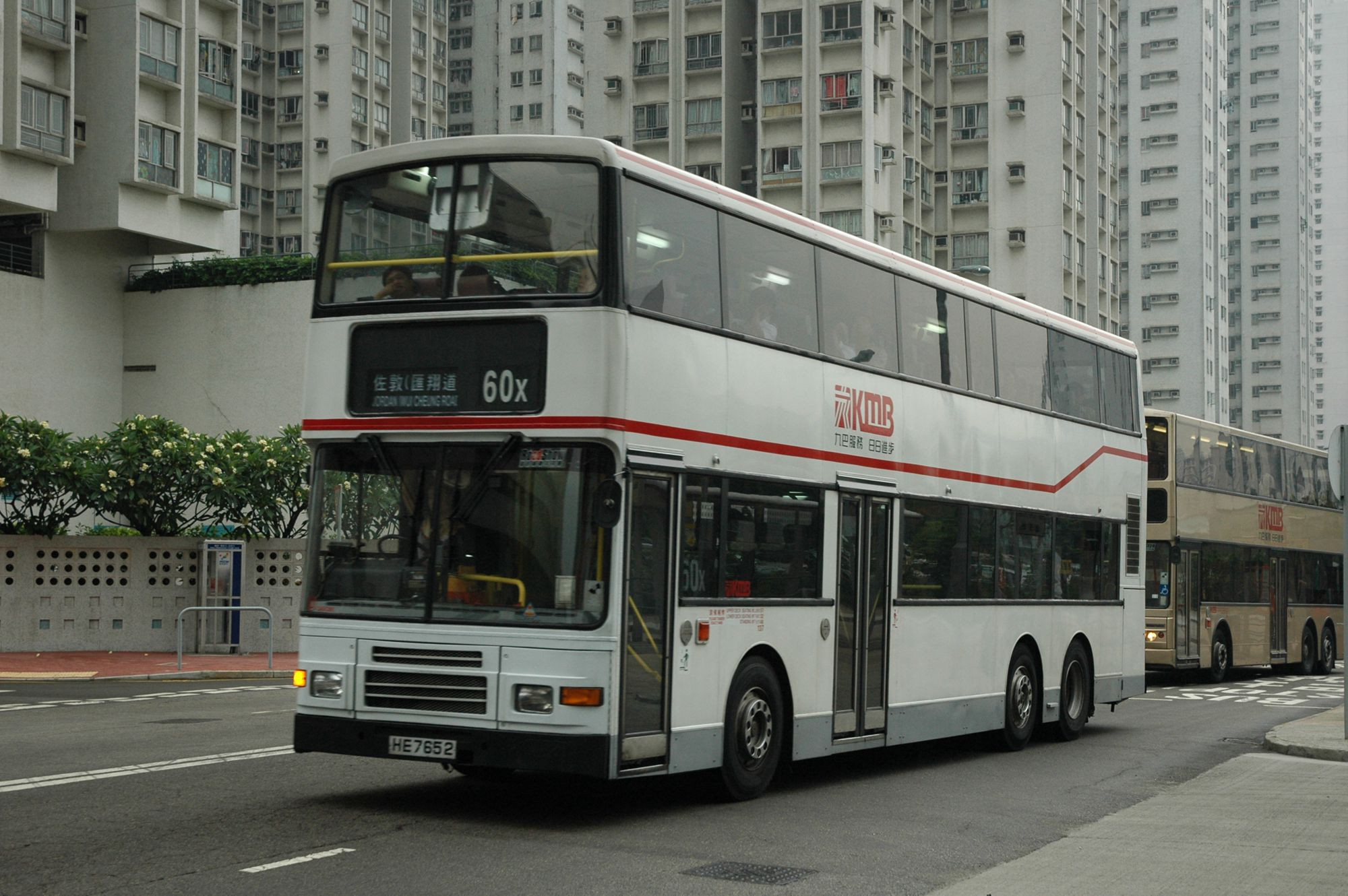 19019(3AV261_HE7652@60x) - 複製.JPG