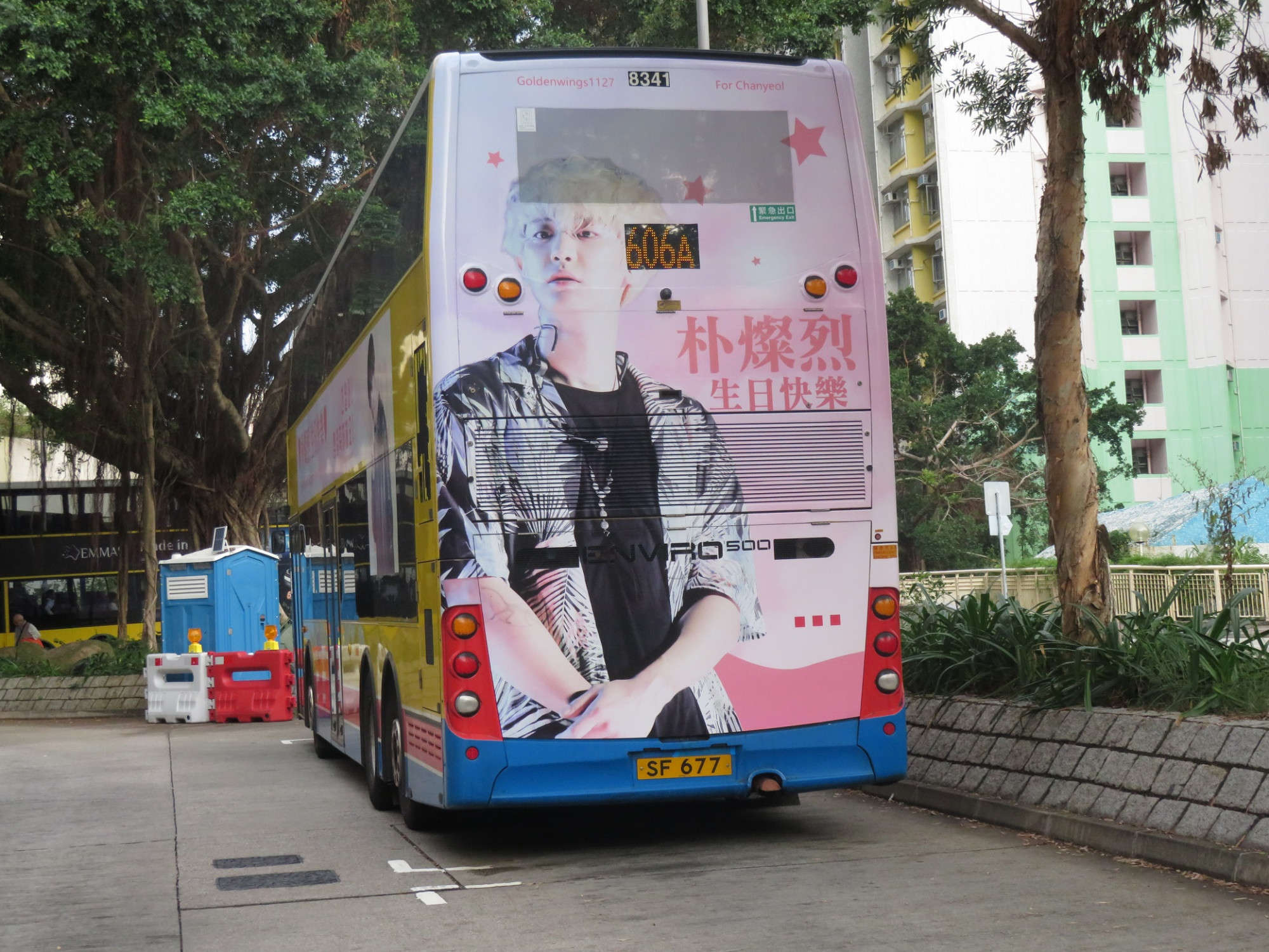 81.JPG