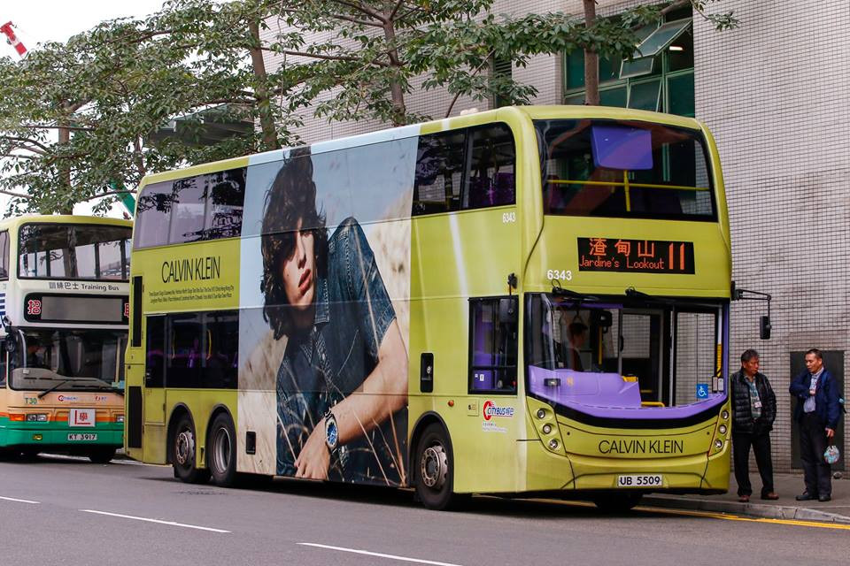 6343.jpg