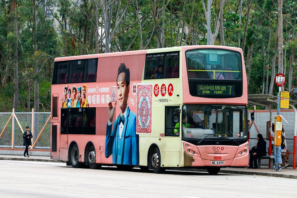 NE2499.jpg