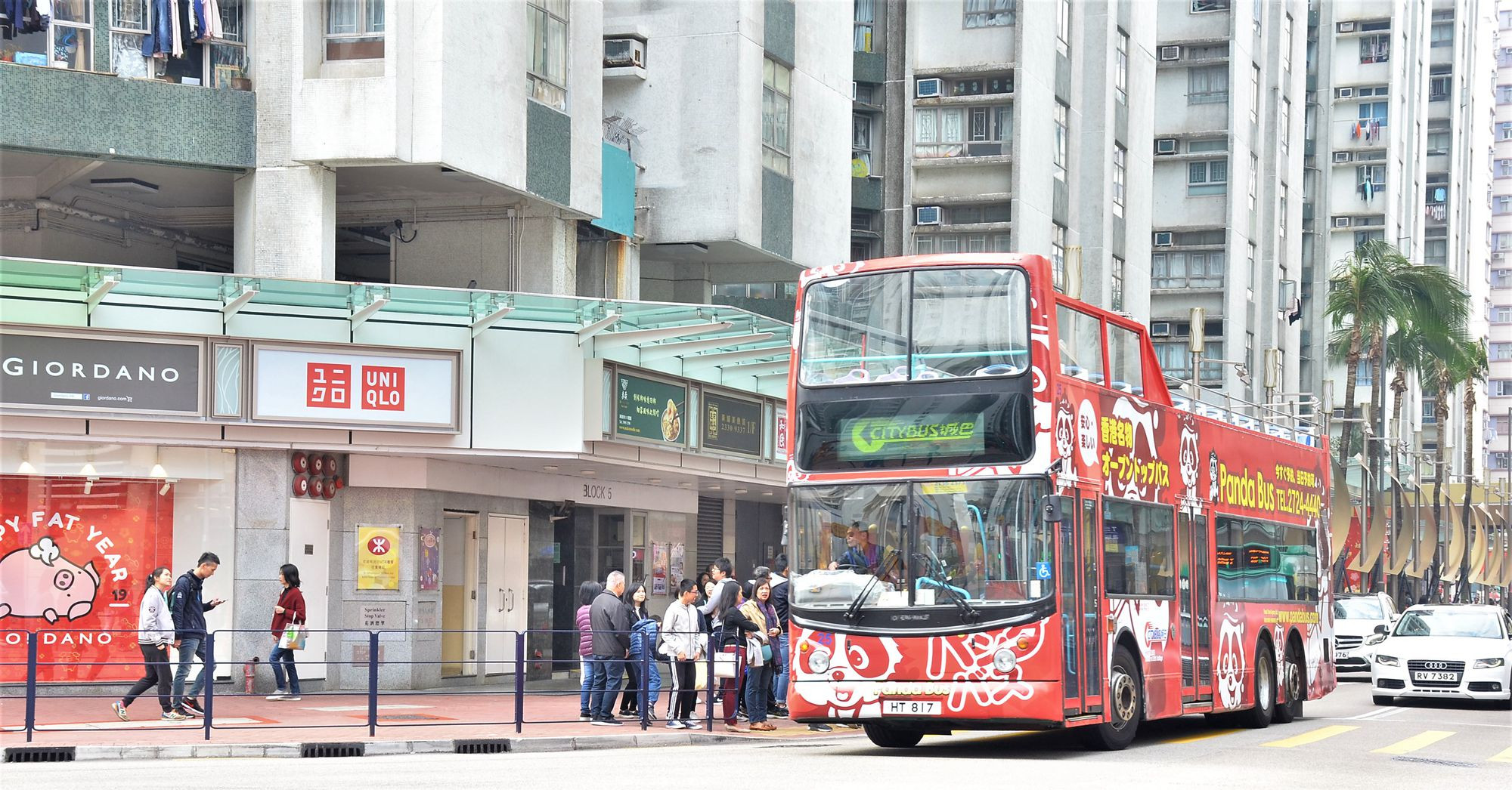 DSC_3074 - 複製.JPG