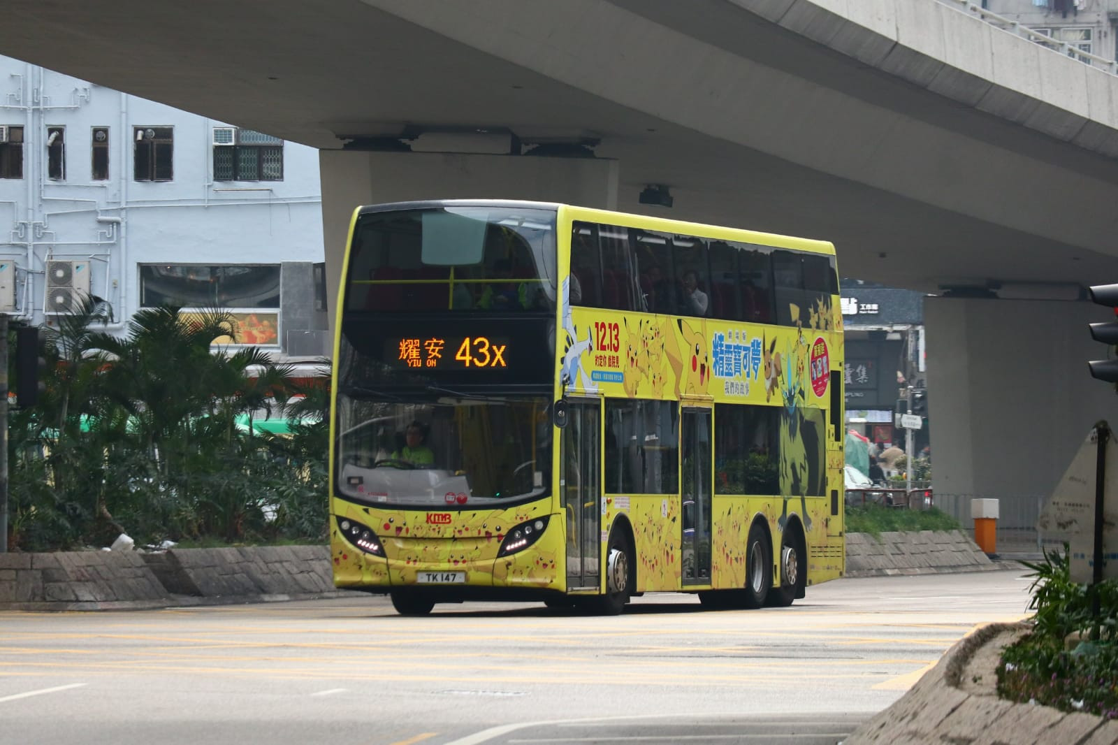 TK147@43X.jpeg