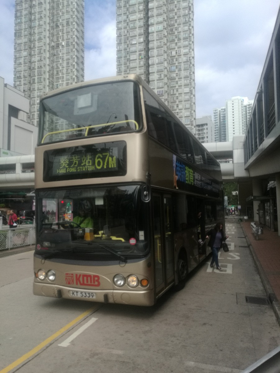 IMG_20190128_125635.jpg