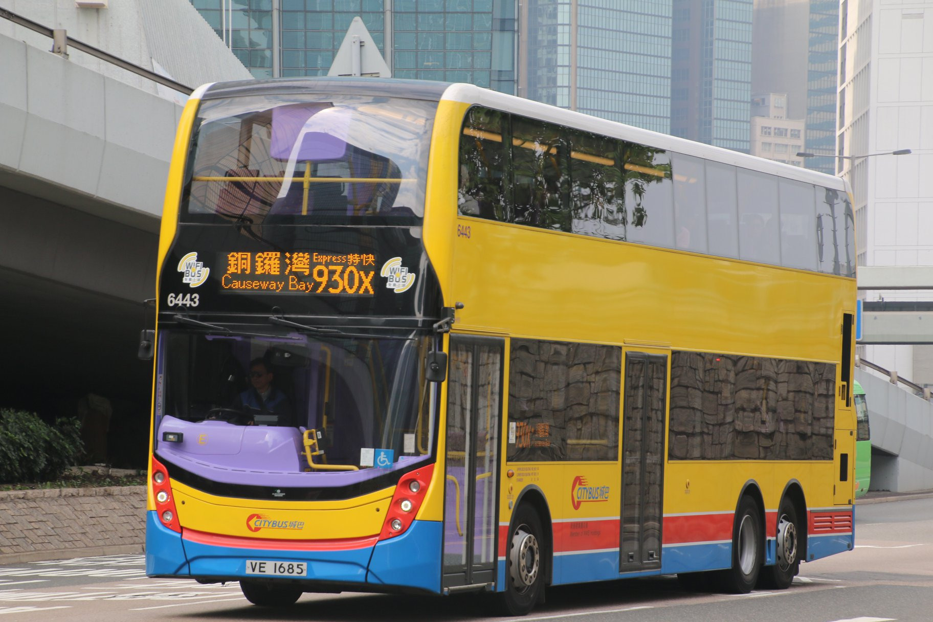 5b.jpg