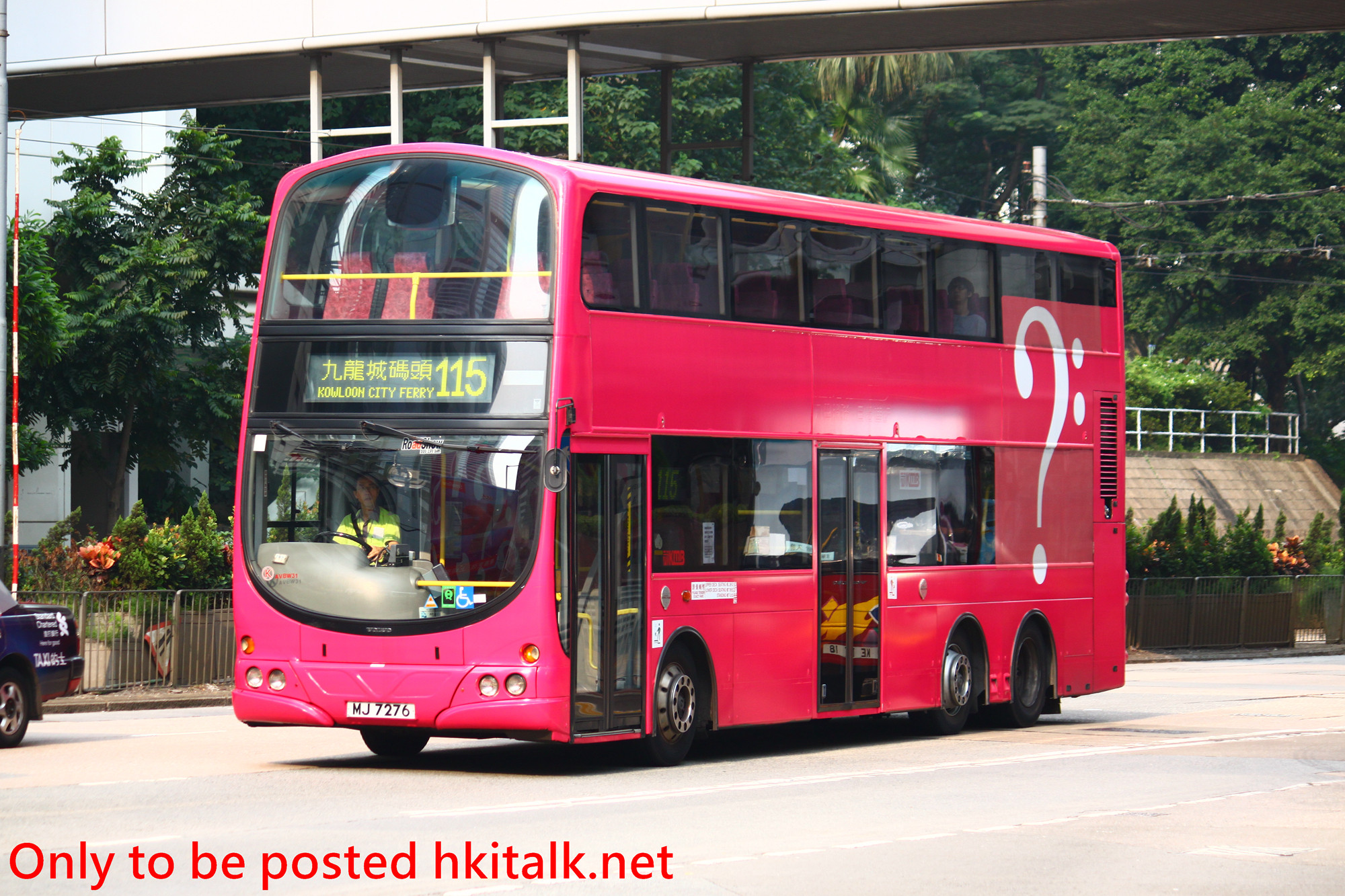 AVBW31-V8729-115.JPG