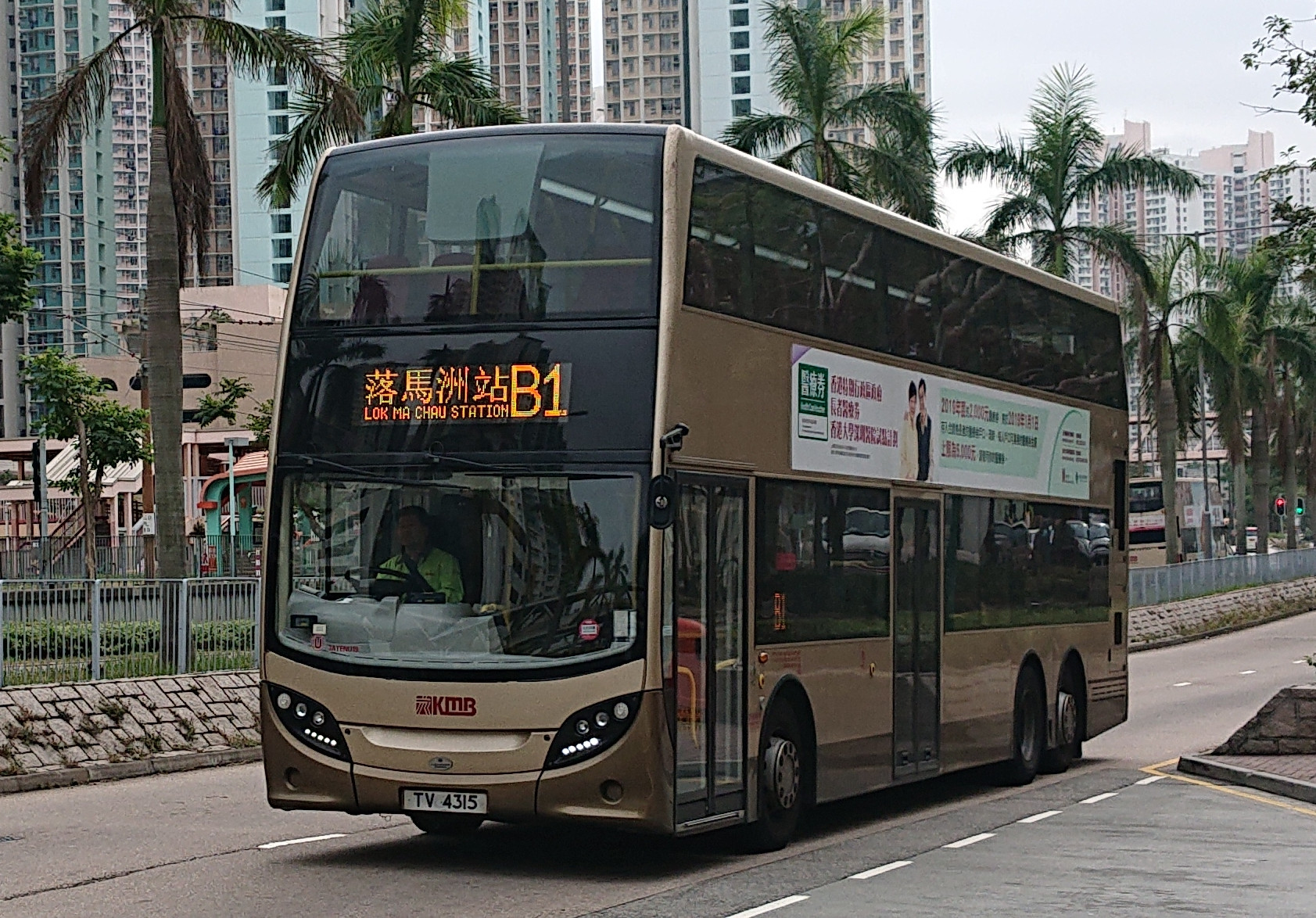 DSC_3588.jpg