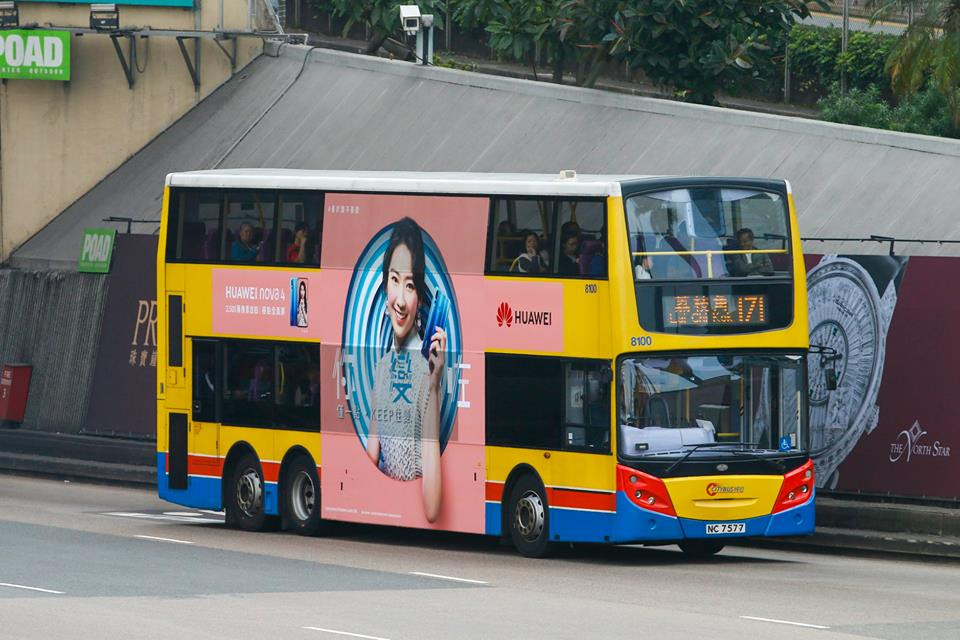 8100.jpg