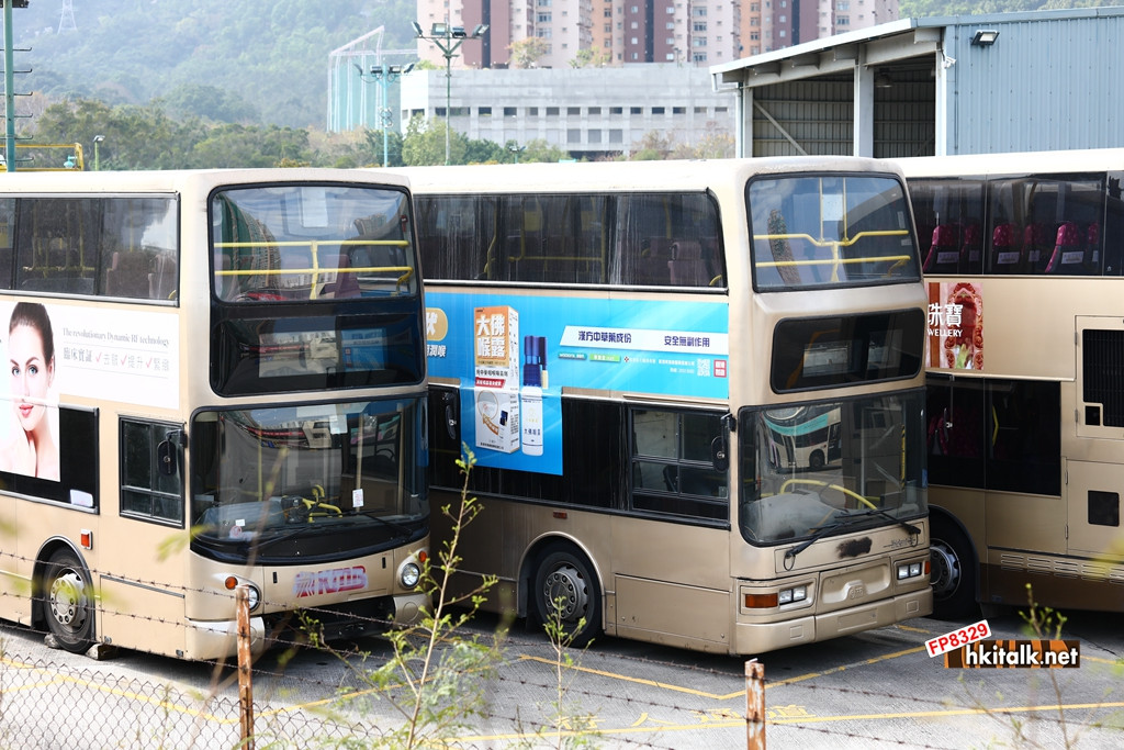 TMSD 20190203 (4).JPG