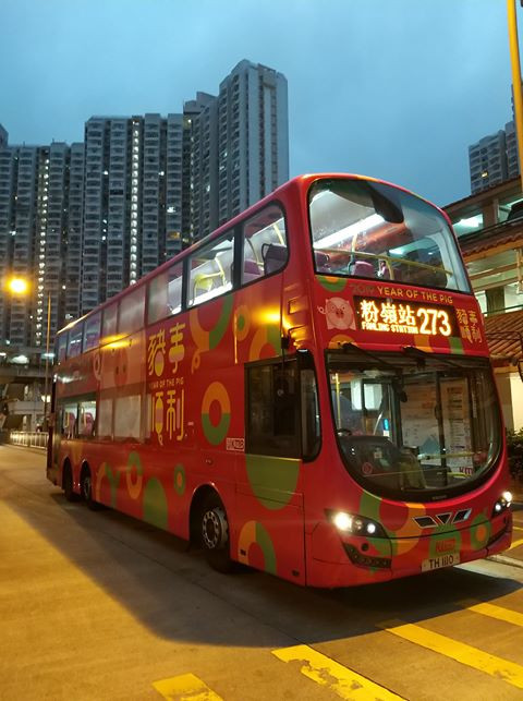 273.jpg