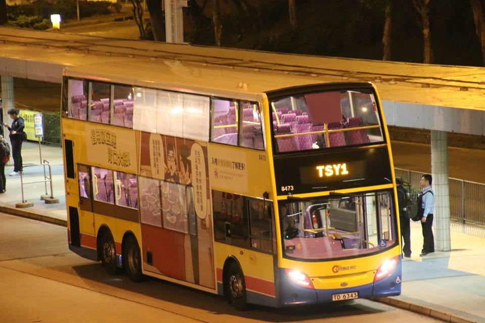 TSY1.jpg