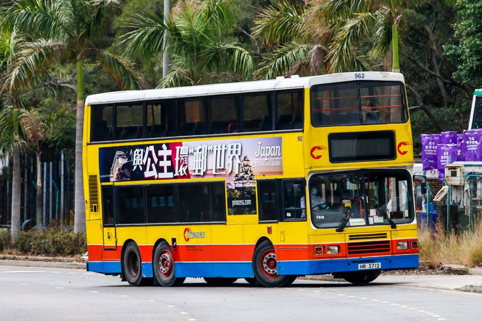 962.jpg
