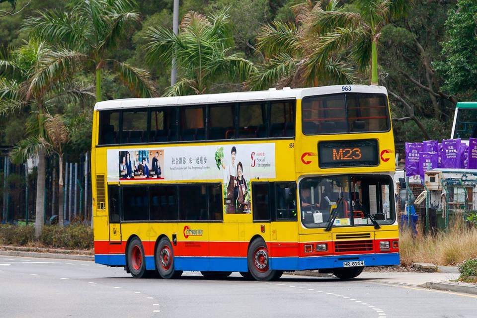 963.jpg