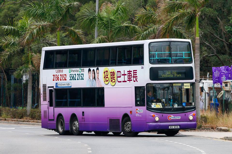 259.jpg