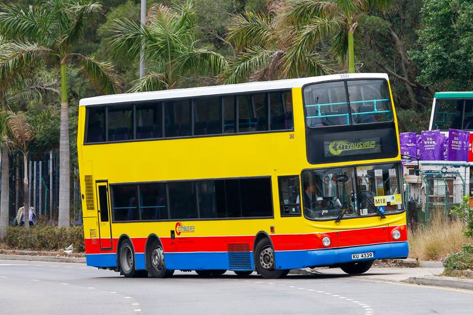 260.jpg