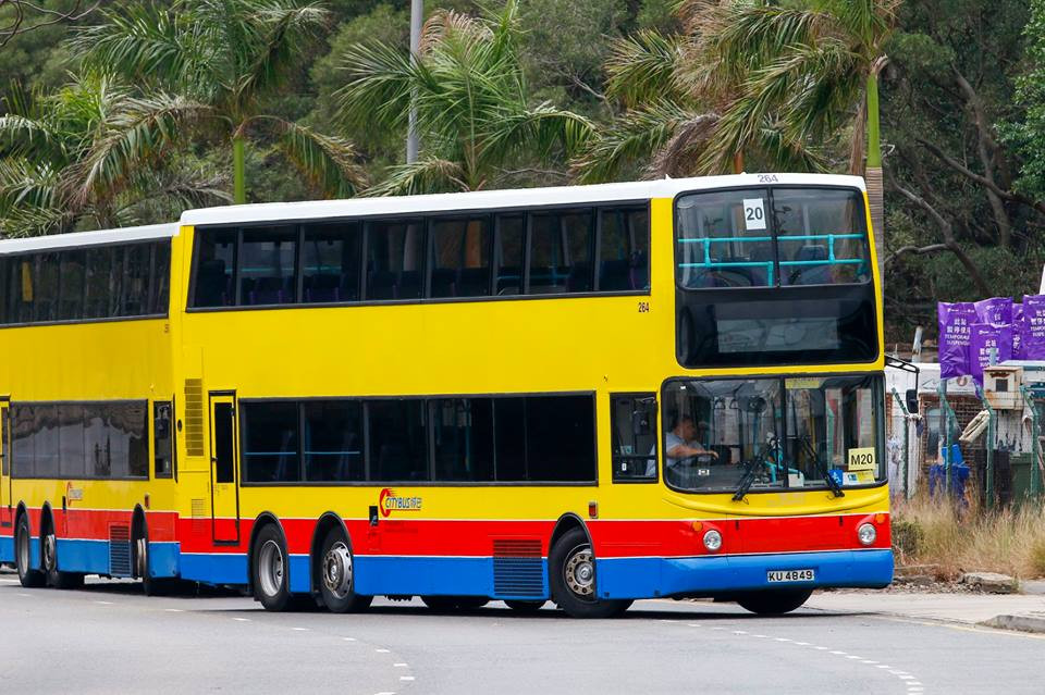 264.jpg