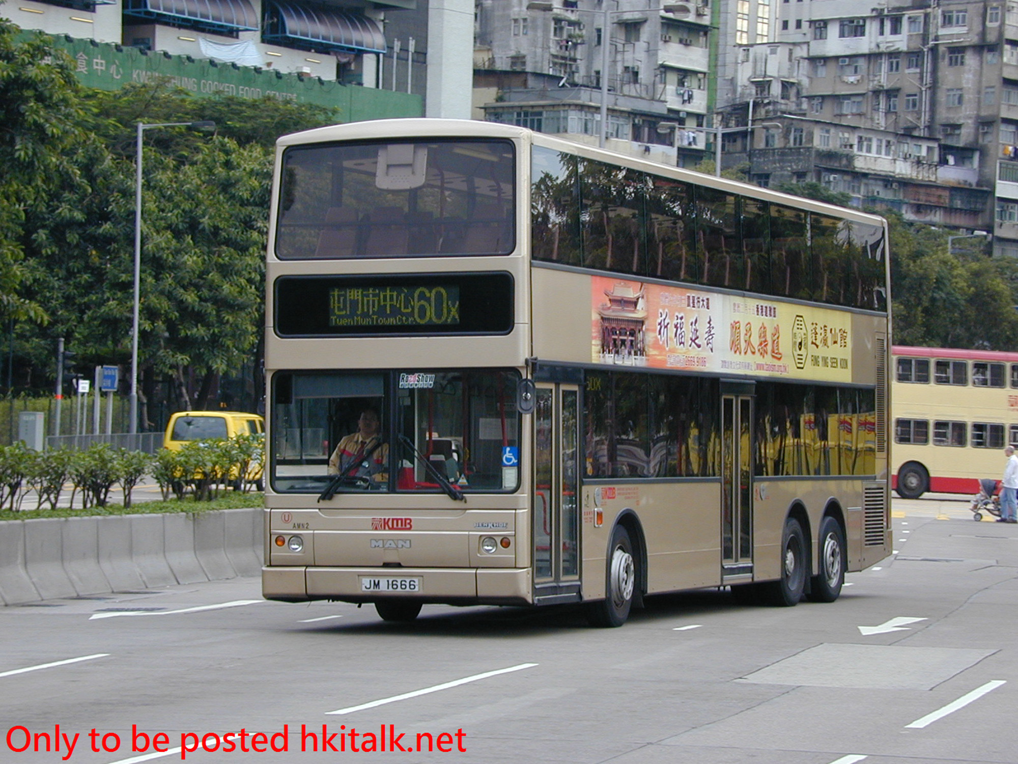 AMN02-10053-60X.JPG