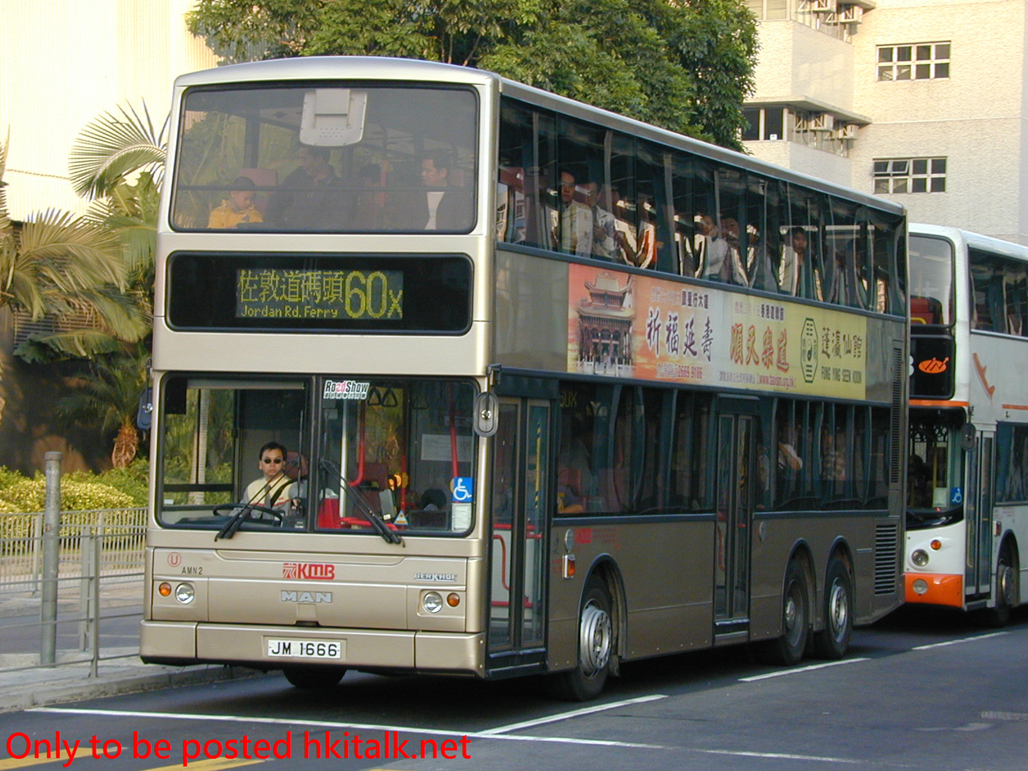 AMN02-09560-60X.JPG